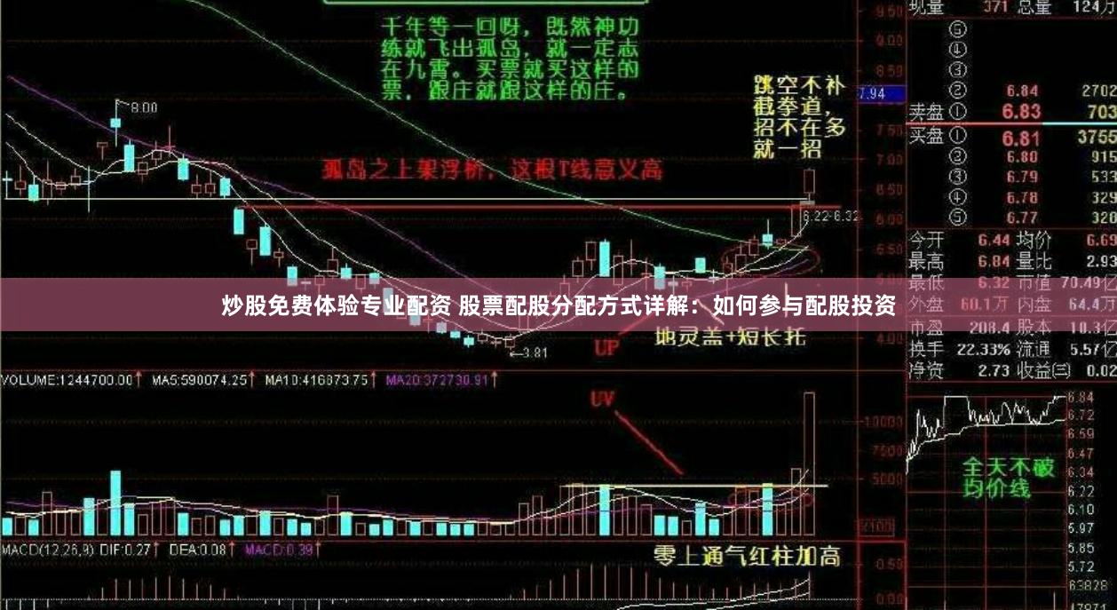 炒股免费体验专业配资 股票配股分配方式详解：如何参与配股投资