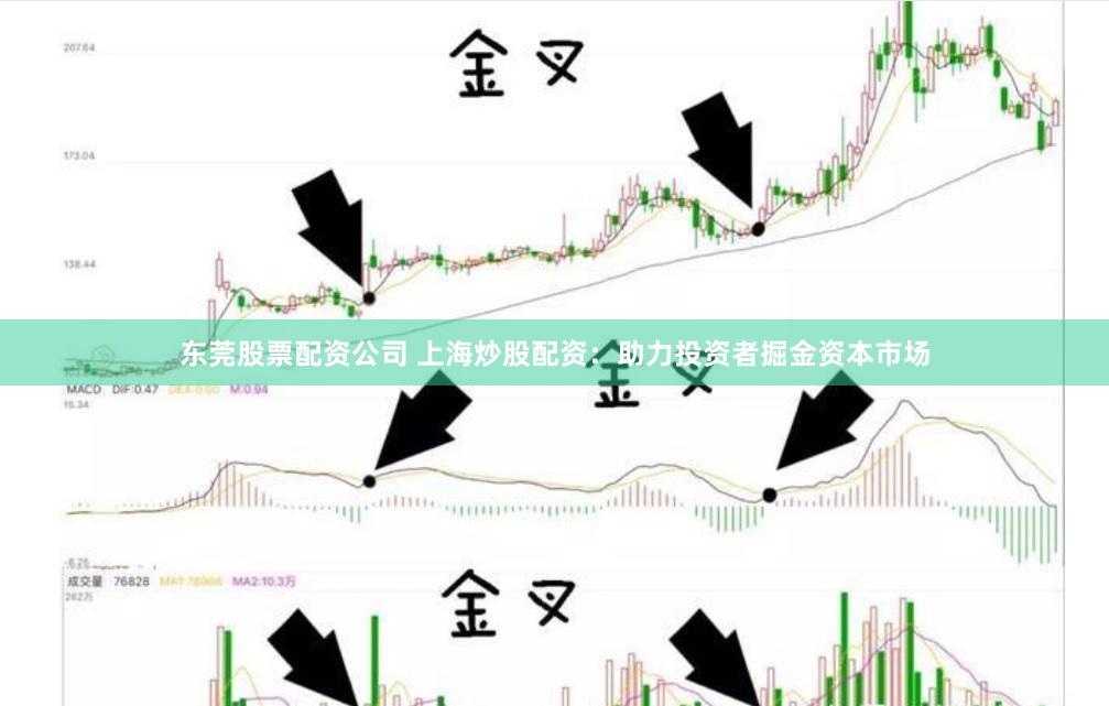东莞股票配资公司 上海炒股配资：助力投资者掘金资本市场